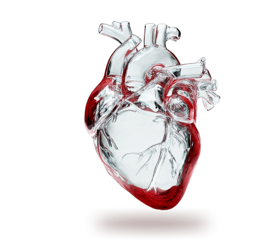 КОМПЛЕКСНАЯ  ОЦЕНКА ЗДОРОВЬЯ СЕРДЦА